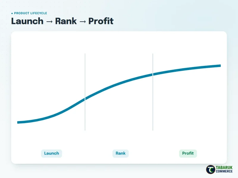 Amazon product lifecycle: launch, rank, profit